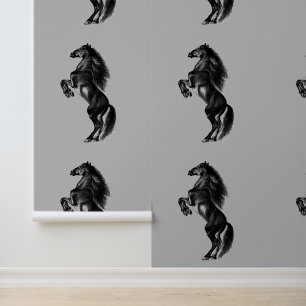 Schwarzes Wildpferd Tapete