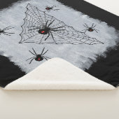 Schwarzes Witwe Spinnen Rotes Hourglas im Web auf  Sherpadecke (3/4)