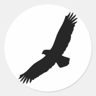 Schwarzfliegenadler Runder Aufkleber