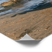 Schwarzfrieshengst am Strand Poster (Ecke)