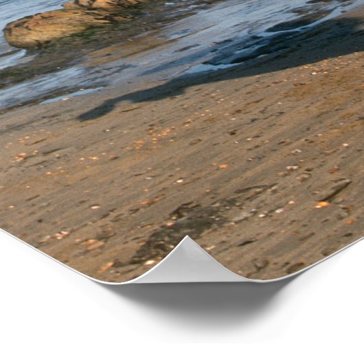 Schwarzfrieshengst am Strand Poster (Ecke)