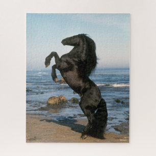 Schwarzfrieshengst am Strand Puzzle