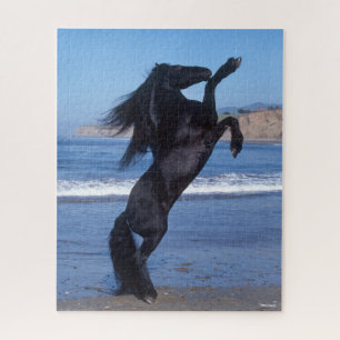 Schwarzfrieshengst am Strand Puzzle