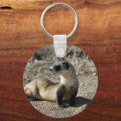 Schwarzfußbrille (in Gefangenschaft) Schlüsselanhänger (Vorderseite)