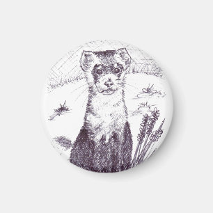 Schwarzfußbrille - Magnet