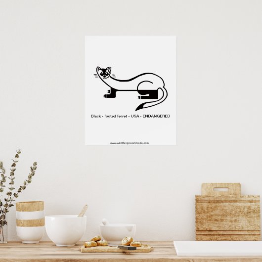 Schwarzfüßer FERRET - gefährdetes Tier - Natur Poster (Küche)