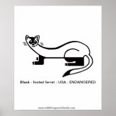 Schwarzfüßer FERRET - gefährdetes Tier - Natur Poster (Vorne)