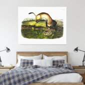 Schwarzfußgletscher, amerikanischer Polecat von Au Leinwanddruck (Insitu (Schlafzimmer))