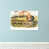 Schwarzfußgletscher Leinwanddruck (Insitu (Holzboden))