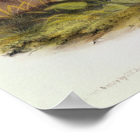 Schwarzfußgletscher Poster (Ecke)