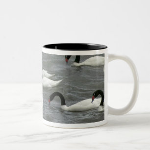 Schwarzhals-Schwäne (Cygnus melancoryphus) Zweifarbige Tasse