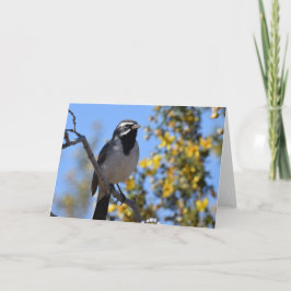 Schwarzhalsammer Karte