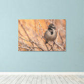 Schwarzhalsammer Leinwanddruck (Insitu (Holzboden))