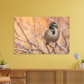 Schwarzhalsammer Leinwanddruck (Insitu (Wohnzimmer))