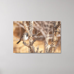 Schwarzhalsammer Leinwanddruck