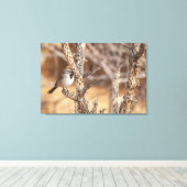 Schwarzhalsammer Leinwanddruck (Insitu (Holzboden))