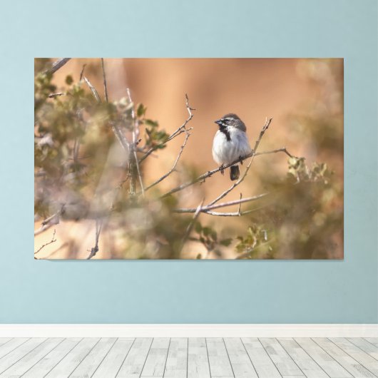 Schwarzhalsammer Leinwanddruck (Insitu (Holzboden))