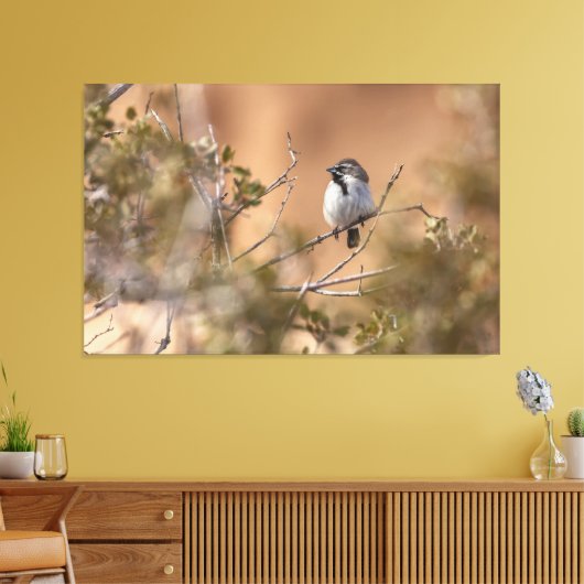 Schwarzhalsammer Leinwanddruck (Insitu (Wohnzimmer))