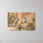 Schwarzhalsammer Leinwanddruck (Vorderseite)