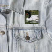 Schwarzhalsschwan erwachsen und Zygnette in Wasser Button (Beispiel)