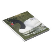 Schwarzhalsschwan erwachsen und Zygnette in Wasser Notizblock (angewinkelt)