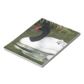 Schwarzhalsschwan erwachsen und Zygnette in Wasser Notizblock (Rotiert)