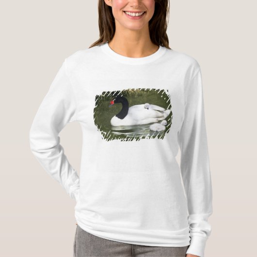 Schwarzhalsschwan erwachsen und Zygnette in Wasser T-Shirt (Vorderseite)