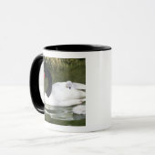 Schwarzhalsschwan erwachsen und Zygnette in Wasser Tasse (Vorderseite Links)