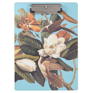 Schwarzhaltiger Kuckuckoo-Vogel Klemmbrett