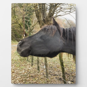 SCHWARZHORSE FOTOPLATTE