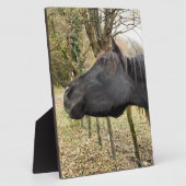 SCHWARZHORSE FOTOPLATTE (Seite)