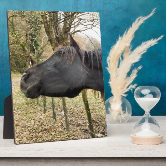 SCHWARZHORSE FOTOPLATTE (Seite)