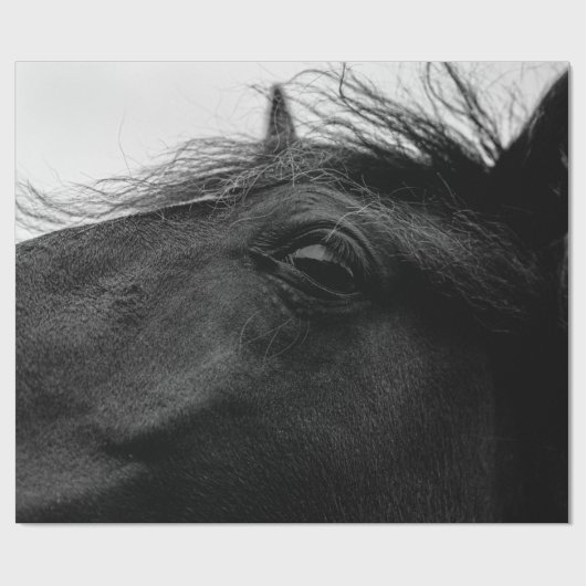 SCHWARZHORSE GESCHENKPAPIER (Flach)