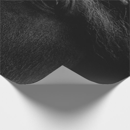 SCHWARZHORSE GESCHENKPAPIER (Ecke)