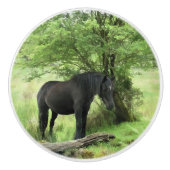 SCHWARZHORSE KERAMIKKNAUF (Vorderseite)