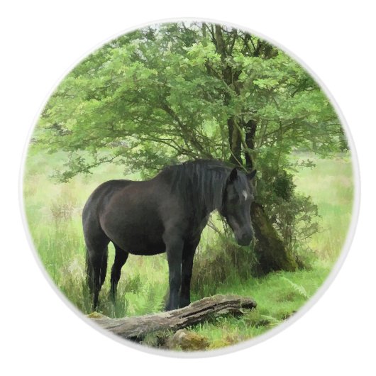 SCHWARZHORSE KERAMIKKNAUF (Vorderseite)