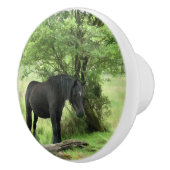 SCHWARZHORSE KERAMIKKNAUF (Rechts)