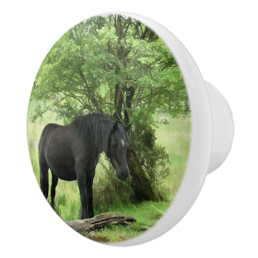 SCHWARZHORSE KERAMIKKNAUF (Rechts)