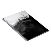 SCHWARZHORSE NOTIZBLOCK (Rechte Seite)