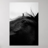 SCHWARZHORSE POSTER (Vorne)