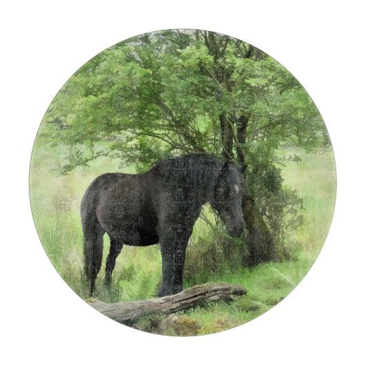 SCHWARZHORSE SCHNEIDEBRETT (Vorderseite)