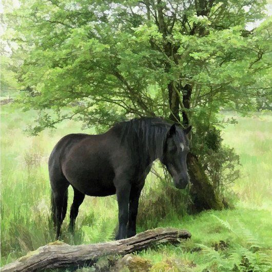 SCHWARZHORSE SCHÜRZE