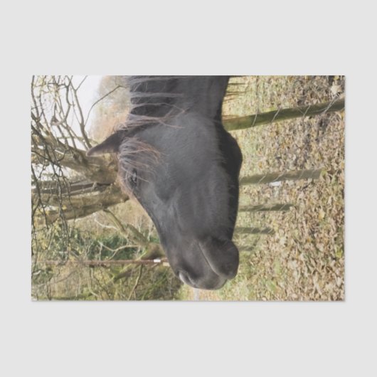 SCHWARZHORSE SEIDENPAPIER (Vorderseite)