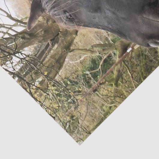 SCHWARZHORSE SEIDENPAPIER (Ausschnitt)