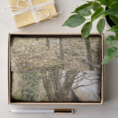 SCHWARZHORSE SEIDENPAPIER (Geschenk)