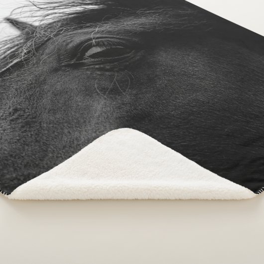 SCHWARZHORSE SHERPADECKE (3/4)