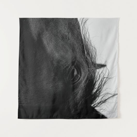 SCHWARZHORSE WANDTEPPICH (Vorderseite (Horizontal))