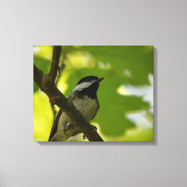 SCHWARZKADEE-CANVAS-DRUCK LEINWANDDRUCK