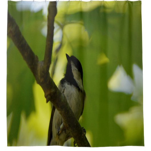 SCHWARZKADEE-DUSCHKURTAIN DUSCHVORHANG (Vorderseite)