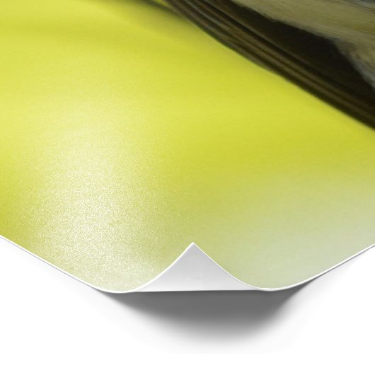 SCHWARZKADEPOSTER FOTODRUCK (Ecke)